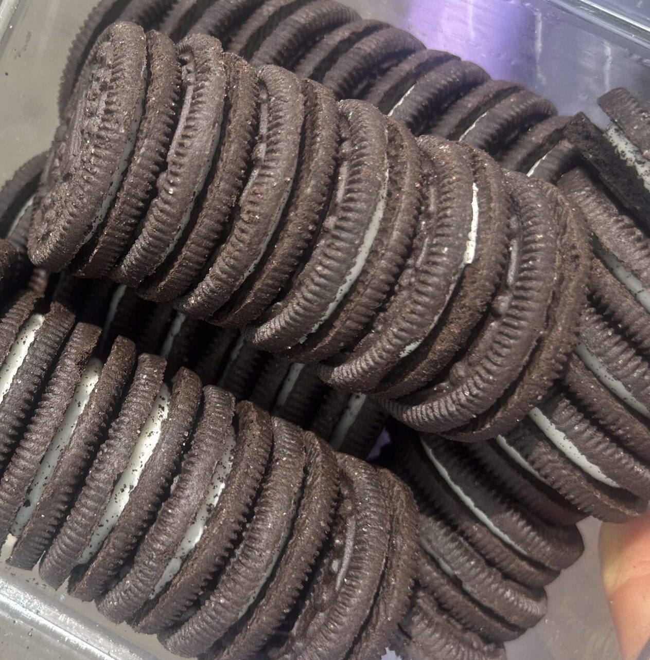 Oreo Biscuit
