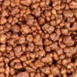 Chocolate Coated Honeycomb