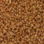Toffee Hazlenut Crunch